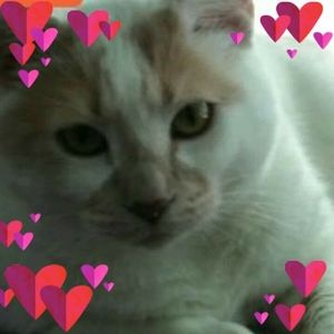 Meet your Posher, Pam